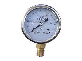 耐震压力表
