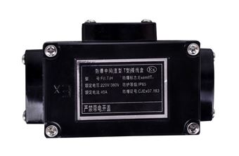 防爆三通接线盒